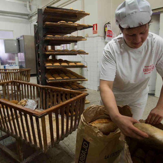 Panadería Rabanillo especialista empacando panes